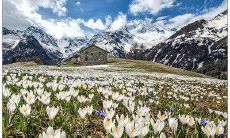 女友加班期间,问候她的甜美短信:用温柔的文字告诉她你的深爱之情!