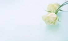 用书名形容亲情的生动句子:母亲用温情的目光,犹如《红楼梦》中的贾母为宝钗坚定不移的爱,将孩子护在心底深处