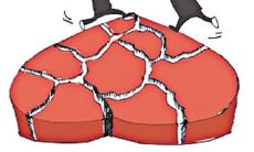 亲情和金钱之间的复杂关系:探讨家庭关系中金钱对于情感和亲情的影响