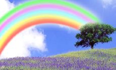 精彩绝伦的唯美句子，关于对爱情感悟的深刻探索和领悟