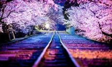 震撼人心的12个餐饮口号,让您在餐桌上声名远扬!