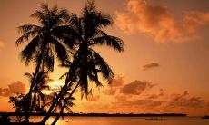 在抗击这场世界范围内的疫情病毒中，人类共同肩负使命，展现无与伦比的团结力量，以拯救世界为目标不懈努力