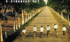 用于表达对友情的美好祝福和祝愿的友谊语句