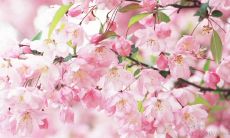 一点的励志口号:具有启发性的、短小精悍、鼓舞人心的名言