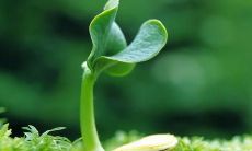 探寻家人间深厚、真挚、无条件的亲情,以及这种情感所带来的彼此之间的依存、支持、成长与陪伴