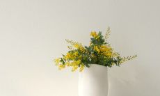 如何说出让女友心动的挽回话语，让分手后重燃爱火