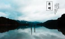 在清明节寄哀思的时刻,让我们共同分享这些慰藉心灵的句子