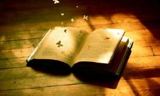 20句优美精选句子集锦，让你感受文学的魅力