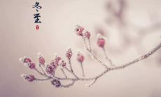 用唯美短句，发一个好友圈庆祝冬至的到来