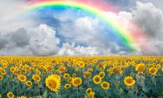 不管是悲伤还是喜悦,都有哭泣和笑脸的句子可以借鉴,走出情绪的泥潭!