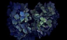 回顾老顾客与商家间的深厚友情：凝结经年，它们的情谊令人感动不已