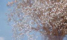 令人心碎、令人痛苦的令人感到悲伤的悲伤的句子