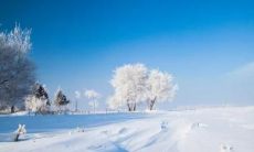 寒气袭人，冬日的严寒让人不寒而栗，暖意凋谢，这个季节寒意逼人，明媚的蓝天和凛冽的寒风构成了冬天最经典的景象，冰天雪地伴着霜花飘舞，冬季的寒风刮得人瑟瑟发抖