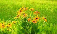 从心灵深处无法割舍的亲情:一组感人至深的句子