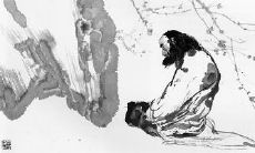 通过悟禅所得到的深刻句子，带你深入领悟自我和宇宙的奥秘