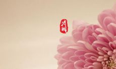 清明节到来,怀念亲人的100句话:让我们永远珍惜亲人的爱,感恩生命中的每一个温暖时刻