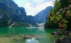 享有亲情陪伴的日子,是何其美好的事啊!