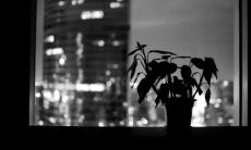 当一个人让你倍感失望并离开你时，你可以说的一句话是什么？