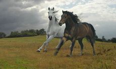 世上最具悔意的句子：那些让我们自责和后悔的话语