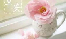 如何在朋友圈上发布早上问好的句子并赢得更多人的关注？