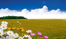 以短信问候老战友，分享过往记忆的心情表达