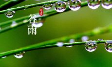 一场关于2022年谷雨节气的畅谈——探究谷雨节气对自然和人类生活的影响，从历史、文化、气象等多个角度解读并分享相关经历和观点的语句集锦