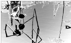 秋意渐浓,秋风冷漠,秋雨凉意融融,引发心灵的伤感句子