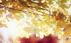 追忆亲情:唯美至深、荡气回肠的回忆录句子