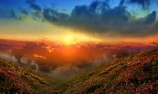 介绍七个字的诗句，仅使用七个字的表达形式