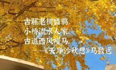 回味秋天，唤起诗词古韵：品味古代描绘秋天的经典句子