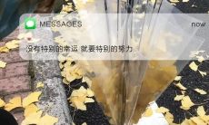 创造人心牵动、激动人心的文案,让读者沉醉其中!