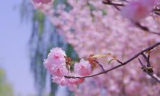 收录了让人眼前一亮的、优美的、适合抖音的句子