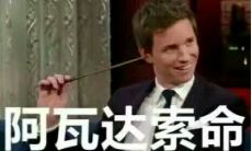 享受沙雕句子带来的无穷乐趣:让你开怀大笑的一连串语言愚趣