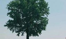 我后悔对朋友说出口的那句话，深感内疚和懊悔