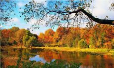 一组充满温馨甜蜜的浪漫爱情句子，让你感受真爱无限！