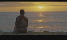 悲观失望的情绪下，表达无法相信爱情的痛苦句子