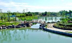 探讨当初我们初遇友情时的感受以及对它的影响的一系列精彩句子