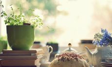 21句精美抒情句子,让你感受岁月流转之美