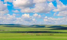 绝美古诗词：用诗歌歌颂草原的浩瀚壮阔与宁静美丽