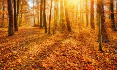 多变的天气下,发送给你的问候短信