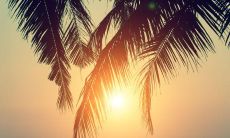 ,鼓舞士气,激励成长,提升战斗力!