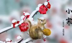 精彩绝伦的文学描写：生动刻画小寒节气的美丑交织，令人沉醉其中！