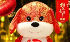 用狗年红包拜年的口号,祝福2020年春节快乐!