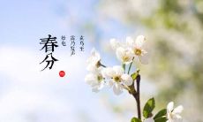 探寻春分时节的美丽韵味：赏识如诗如画的句子与文字，感受春光明媚的温馨气息！