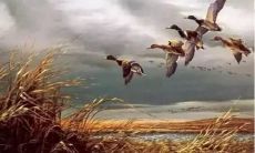 不断努力、坚持奋斗、脚踏实地的座右铭——在现实中获得成功的秘诀