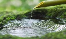 在自然中回归平静与内心宁静的意义重大