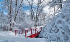 分享下雪时写的朋友圈句子：沉醉于银装素裹的世界，璀璨的雪花漫舞在空中，心中难掩这份冬日的浪漫和温馨