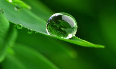 令人感动的幸福语句：转述让人心暖的言辞，传递正能量！