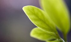 汇总:让你激发动力和信心的世界著名励志名言和警句