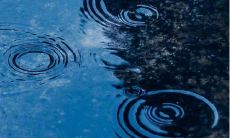 笑翻天,撒花赞叹不止!绝对让你忍俊不禁、大笑不停的超级搞笑幽默文爱,打破笑点极限,让你的眼泪几乎要流出来的可爱语句!